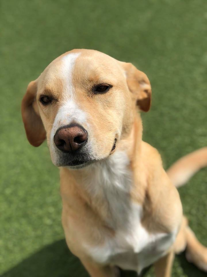 WOOFERS Updated October 2024 13 Photos 2115 W Jody Rd, Florence