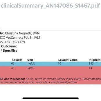 Oceanside Animal Clinic - Lab results - Veterinarians Near Me - Seaview, Washington Oceanside Animal Clinic - Lab results - Veterinarians Near Me - Seaview, Washington