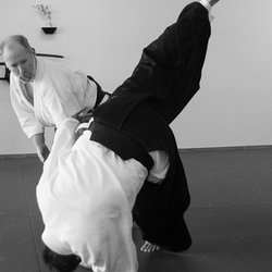 Kimusubi Aikido Orlando