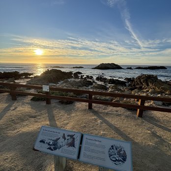 17-Mile Drive Scenic Tour - Local Flavor Near Me 17-Mile Drive Scenic Tour - Local Flavor Near Me
