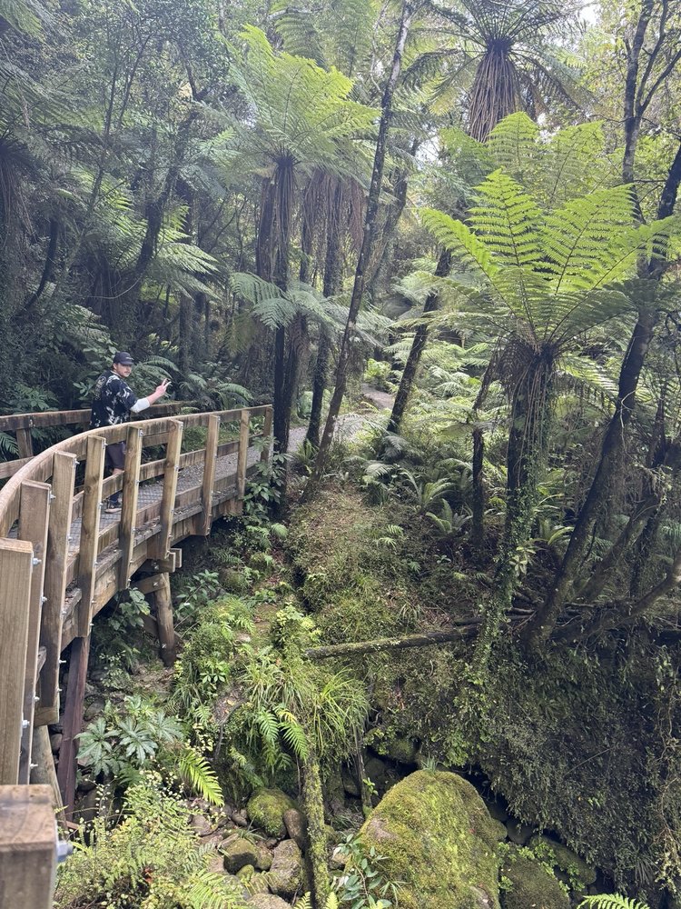Hokitika Gorge Walk