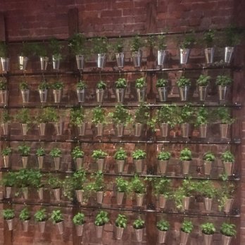 Marilyn's on Main - The Herb Wall - Seafood Near Me - Uniontown, Pennsylvania Marilyn's on Main - The Herb Wall - Seafood Near Me - Uniontown, Pennsylvania