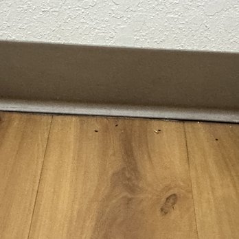 Motel 6 - Mouse droppings - Hotels Near Me - Sidney, Ohio Motel 6 - Mouse droppings - Hotels Near Me - Sidney, Ohio