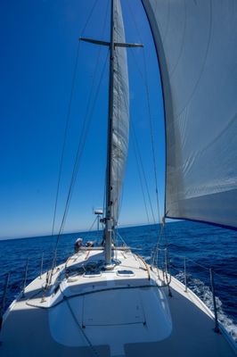 Sail Channel Islands by null