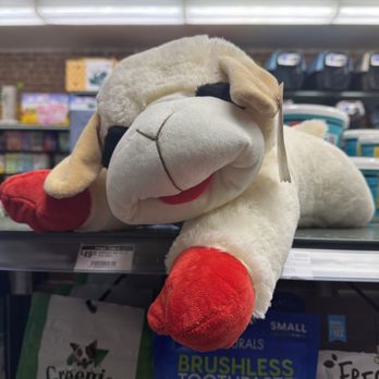 Petopia - Petopia 226 W 116 - Large Lamb Chop - Pet Stores Near Me - New York, New York Petopia - Petopia 226 W 116 - Large Lamb Chop - Pet Stores Near Me - New York, New York