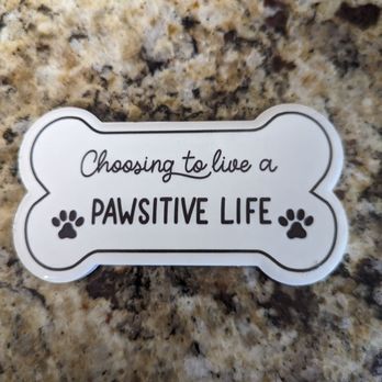 Dollar Tree - They had so many cute magnets, and craft supplies - Discount Store Near Me - Knoxville, Tennessee