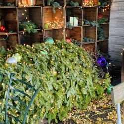 Jones Farm & Country Store - Christmas Decorations