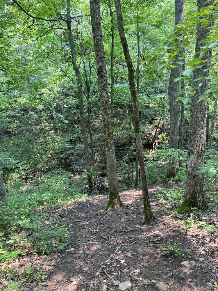 TURKEY RUN OVERLOOK TRAIL 45 Photos 8710 Stout Rd, Louisville