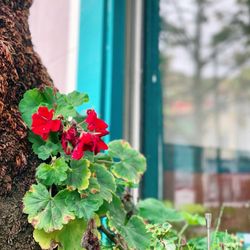 Beit Rima - Outside sitting
