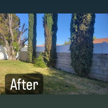 Fast Affordable Fencing - Now I can't even see my neighbors. We are so happy. - Fences & Gates Near Me Fast Affordable Fencing - Now I can't even see my neighbors. We are so happy. - Fences & Gates Near Me
