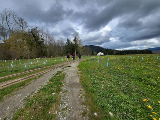 Alluvial Farms by null