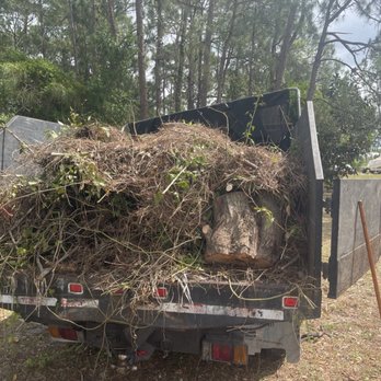 Loyal-T Tree And Lawn Services - Removal process - Tree Services Near Me Loyal-T Tree And Lawn Services - Removal process - Tree Services Near Me