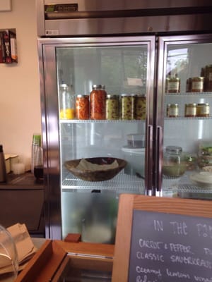 Standard Fare by null