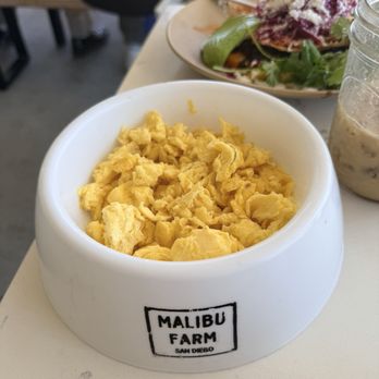 Malibu Farm - Eggs doggie menu - Breakfast & Brunch Near Me - San Diego, California