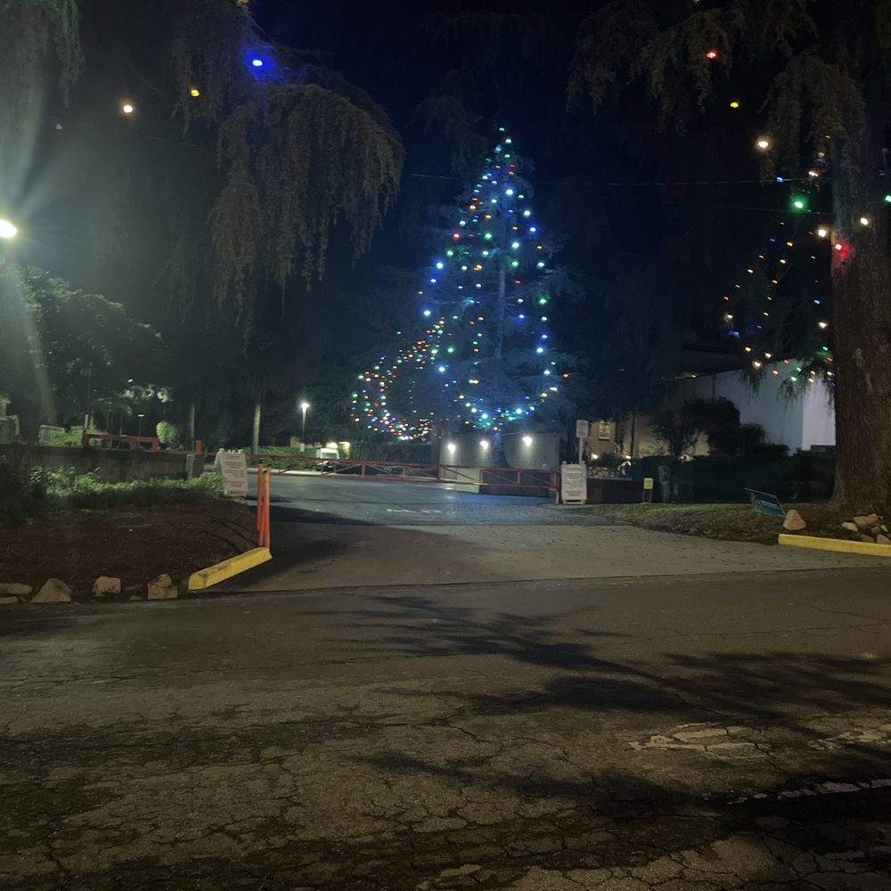 Christmas Tree Lane - Christmas Trees Near Me - Altadena, California Christmas Tree Lane - Christmas Trees Near Me - Altadena, California