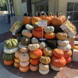 Publix Super Markets - Such a great pumpkin selection!