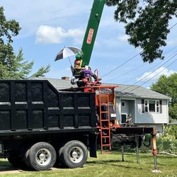 Grey Hat Tree Service and Landscaping