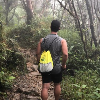 El Yunque Rainforest - Hiking Near Me - Luquillo, Puerto Rico