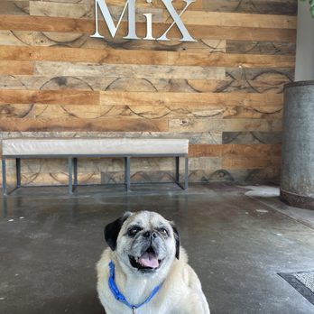 SoCo Collection Gardens photo 9