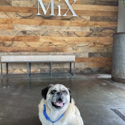 SOCO & The OC Mix - Love it here!