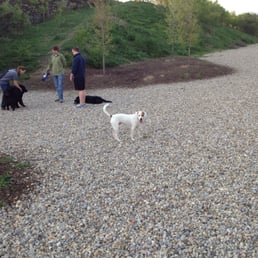 Robbie having fun at Fido Field