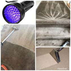 Platinum Carpet Cleaning - You're only as good as your equipment;)
