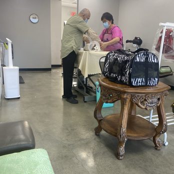 Happy Cat Grooming - Benji getting groomed! - Pet Groomers Near Me - Cypress, California Happy Cat Grooming - Benji getting groomed! - Pet Groomers Near Me - Cypress, California