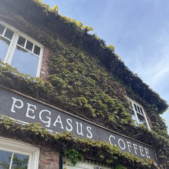 Pegasus Coffee House - Coffee & Tea Near Me - Bainbridge Island, Washington Pegasus Coffee House - Coffee & Tea Near Me - Bainbridge Island, Washington