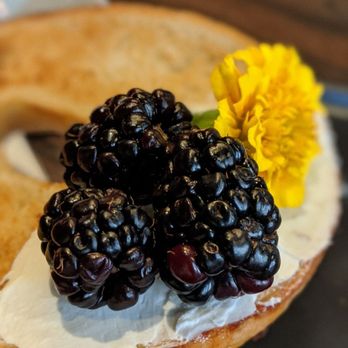 Fount Board and Table - Bagel with cream cheese - Coffee & Tea Near Me - Dallas, Texas