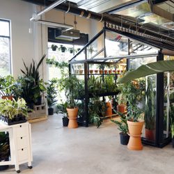 Horti