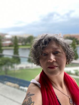 Tampa Museum of Art by null