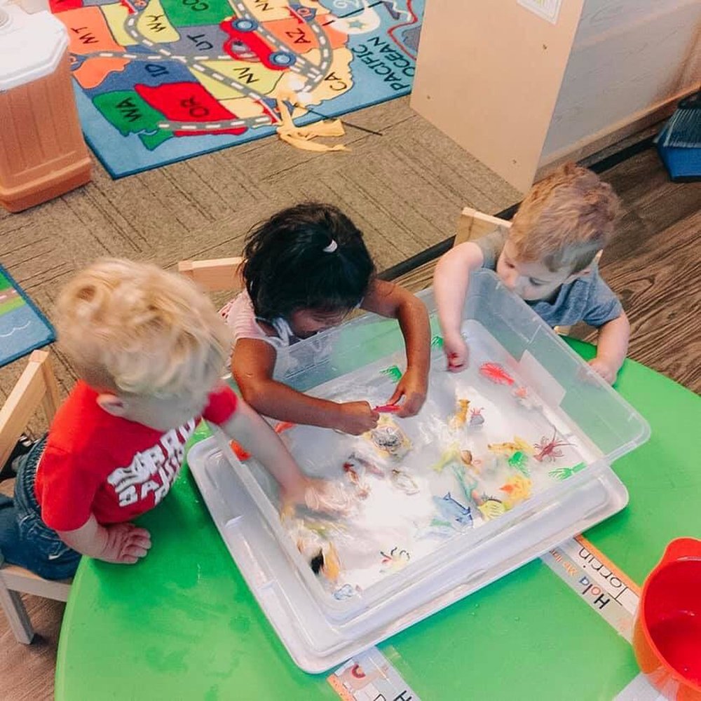 Treehouse Day School - Learning about the aquarium - Child Care & Day Care Near Me - Plano, Texas Treehouse Day School - Learning about the aquarium - Child Care & Day Care Near Me - Plano, Texas