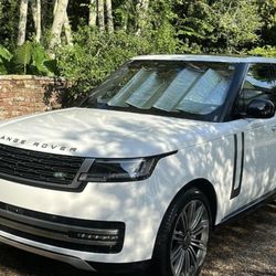 Platinum Shine Mobile Detailing