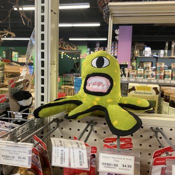 Pet World - Great chew toys!! - Pet Stores Near Me - Lawrence, Kansas Pet World - Great chew toys!! - Pet Stores Near Me - Lawrence, Kansas