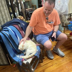 Ardmore Emporium - Stella, the resident kitty, resting in a booth.