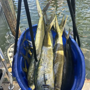 Fantastic Charters - Mahi - Fishing Near Me - Key Largo, Florida Fantastic Charters - Mahi - Fishing Near Me - Key Largo, Florida