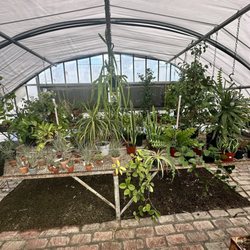 Garrison Foothill Nursery - The greenhouse area.