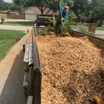 New Braunfels Tree Service Pros - Tree Services Near Me - New Braunfels, Texas