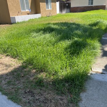 CG Yard Services - Grass cutting plus trimming! - Landscaping Near Me CG Yard Services - Grass cutting plus trimming! - Landscaping Near Me