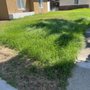 Photo of CG Yard Services