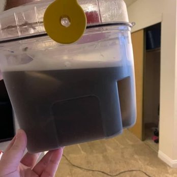 Summerhill Pointe Apartments - How the water looked every single time I would carpet clean... - Apartments Near Me - Las Vegas, Nevada Summerhill Pointe Apartments - How the water looked every single time I would carpet clean... - Apartments Near Me - Las Vegas, Nevada