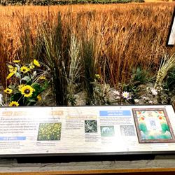 Osceola County Historical Society Pioneer Museum
