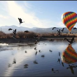 Grand Adventure Hot Air Balloon Rides