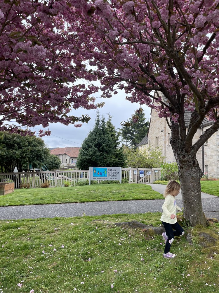 Magnolia Cooperative Preschool - childcare center in Seattle, WA