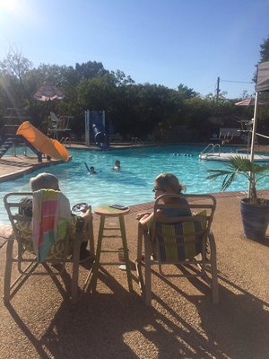 The Texas Pool by null
