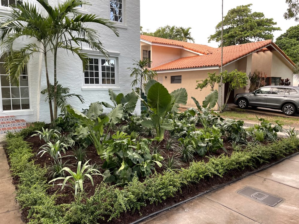 TLC OF SOUTH FLORIDA Updated October 2024 73 Photos & 38 Reviews