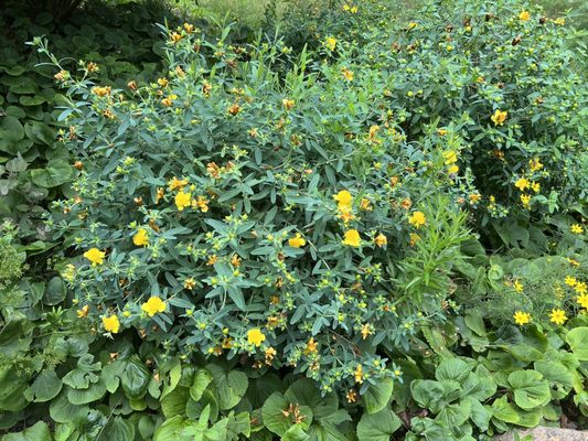 Nature Center at Greenburgh by null