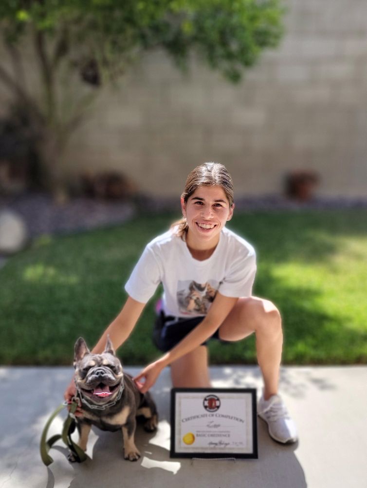 RESTORED K9 ACADEMY Updated May 2024 336 Photos & 109 Reviews