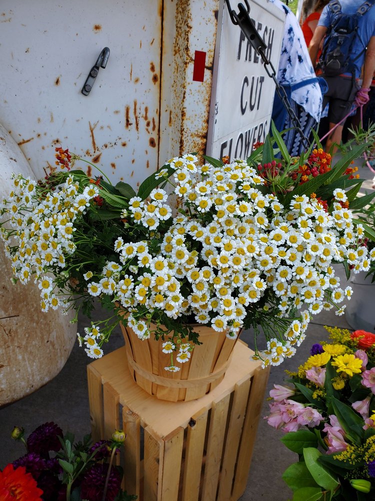 ARVADA FARMERS MARKET Updated November 2024 31 Photos & 17 Reviews