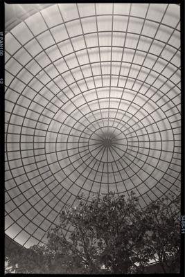 Garden Grove by null